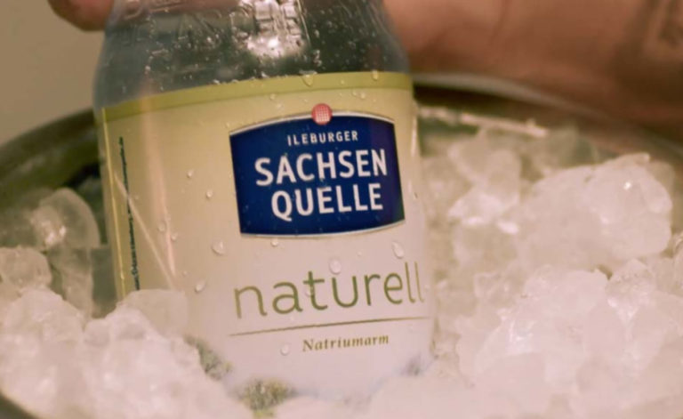 Projekt Sachsenquelle 2LIONS